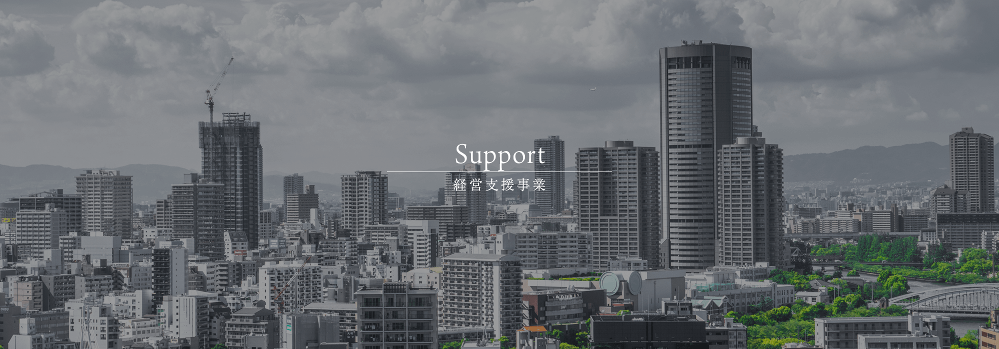 経営支援事業